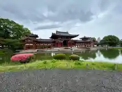 平等院(京都府)