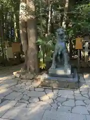 駒木諏訪神社の狛犬