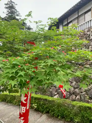 関善光寺の{uncategorized: "未分類", other: "その他", undefined: "問題あり", building: "その他建物", grave: "お墓", sacred_gate: "鳥居", guardian: "狛犬", statue: "像", buddha: "仏像", history: "歴史", nature: "自然", garden: "庭園", animal: "動物", pagoda: "塔", temizu: "手水舎", mountain_gate: "山門・神門", sanctuary: "本殿・本堂", subordinate: "末社・摂社", art: "芸術", scenery: "景色", jizo: "地蔵", ema: "絵馬", goshuin: "御朱印", omikuji: "おみくじ", items: "授与品その他", amulet: "お守り", goshuincho: "御朱印帳", eats: "食事", festival: "お祭り", votive_dance: "神楽", shichigosan: "七五三参", wedding: "結婚式", experience: "体験その他", initially: "初詣", around: "周辺", anti_infection: "感染症対策"}