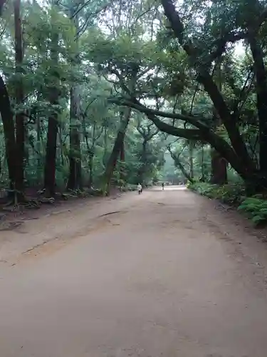 鹿島神宮の自然