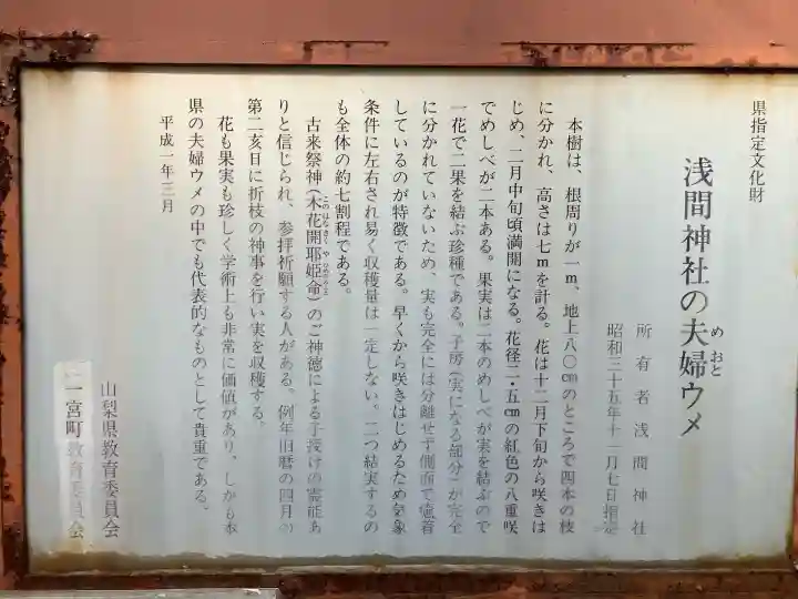 甲斐國一宮 浅間神社(山梨県)