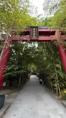 來宮神社(静岡県)