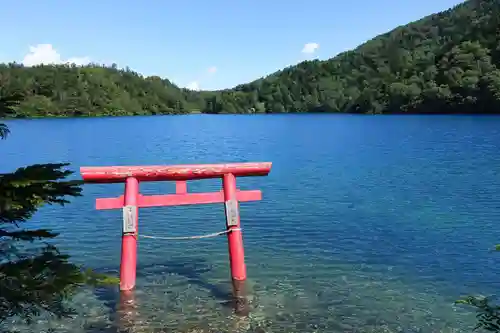 大蛇神社の鳥居