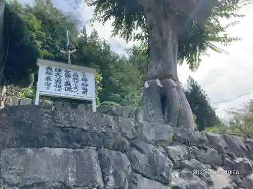夫婦木神社(山梨県)
