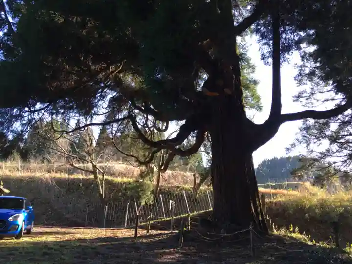 中畑神社の自然