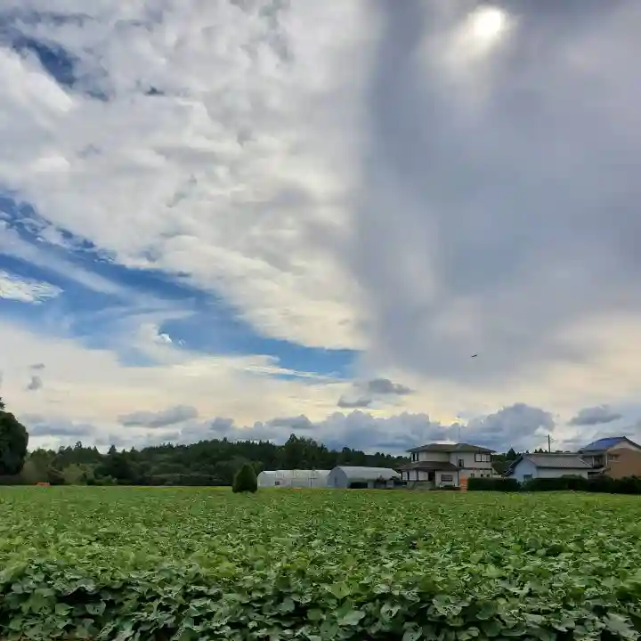 椿ノ海 水神社の周辺