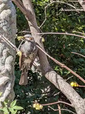 高円寺(東京都)