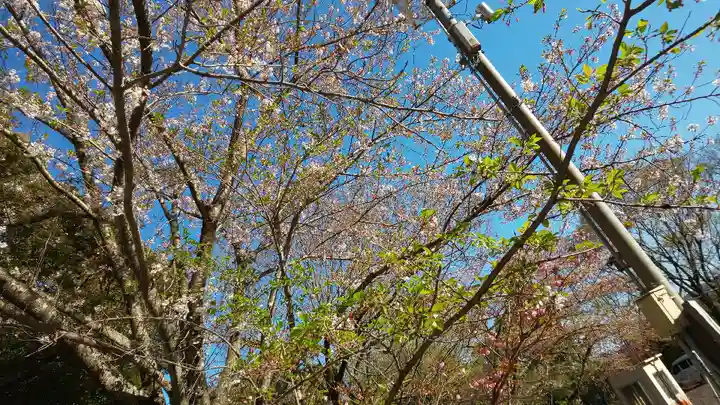 近江神宮のその他建物