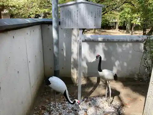 三津厳島神社の狛犬