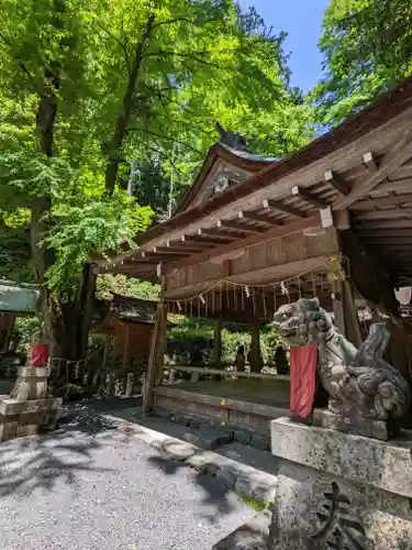 貴船神社の狛犬