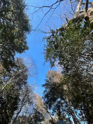 沓掛香取神社(茨城県)