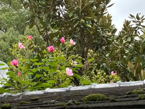 宝筐院(京都府)