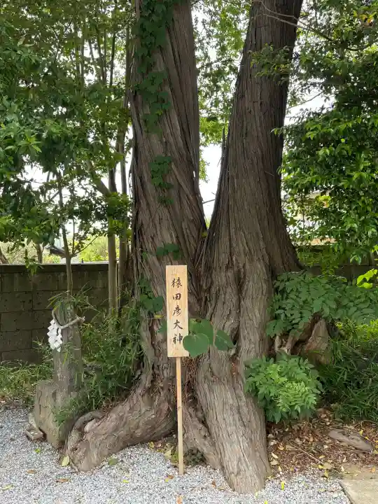 星宮神社の{uncategorized: "未分類", other: "その他", undefined: "問題あり", building: "その他建物", grave: "お墓", sacred_gate: "鳥居", guardian: "狛犬", statue: "像", buddha: "仏像", history: "歴史", nature: "自然", garden: "庭園", animal: "動物", pagoda: "塔", temizu: "手水舎", mountain_gate: "山門・神門", sanctuary: "本殿・本堂", subordinate: "末社・摂社", art: "芸術", scenery: "景色", jizo: "地蔵", ema: "絵馬", goshuin: "御朱印", omikuji: "おみくじ", items: "授与品その他", amulet: "お守り", goshuincho: "御朱印帳", eats: "食事", festival: "お祭り", votive_dance: "神楽", shichigosan: "七五三参", wedding: "結婚式", experience: "体験その他", initially: "初詣", around: "周辺", anti_infection: "感染症対策"}