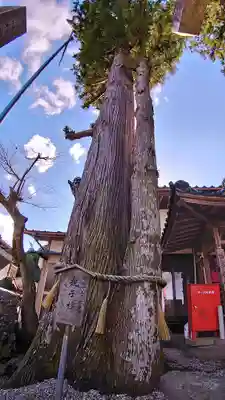 鳴谷神社の自然