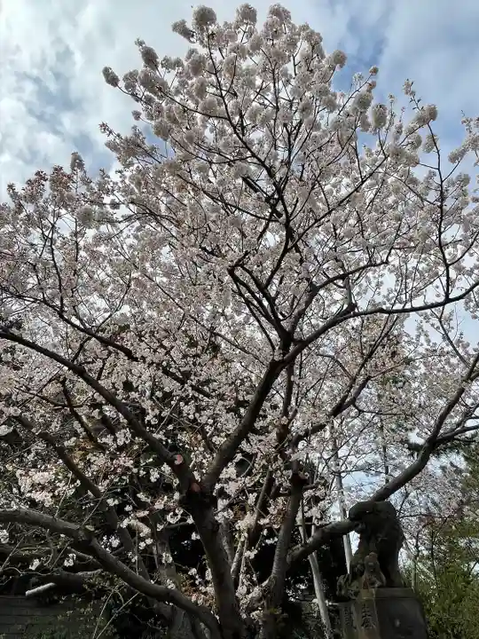 検見川神社の自然