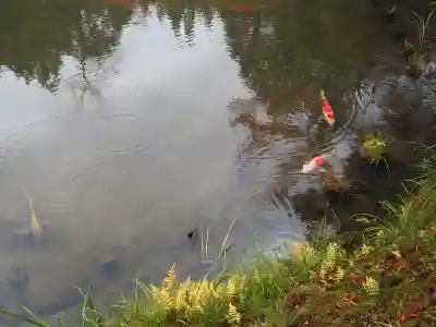 円成寺の{uncategorized: "未分類", other: "その他", undefined: "問題あり", building: "その他建物", grave: "お墓", sacred_gate: "鳥居", guardian: "狛犬", statue: "像", buddha: "仏像", history: "歴史", nature: "自然", garden: "庭園", animal: "動物", pagoda: "塔", temizu: "手水舎", mountain_gate: "山門・神門", sanctuary: "本殿・本堂", subordinate: "末社・摂社", art: "芸術", scenery: "景色", jizo: "地蔵", ema: "絵馬", goshuin: "御朱印", omikuji: "おみくじ", items: "授与品その他", amulet: "お守り", goshuincho: "御朱印帳", eats: "食事", festival: "お祭り", votive_dance: "神楽", shichigosan: "七五三参", wedding: "結婚式", experience: "体験その他", initially: "初詣", around: "周辺", anti_infection: "感染症対策"}