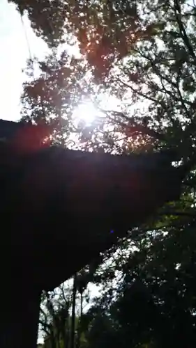 豊武神社のその他建物