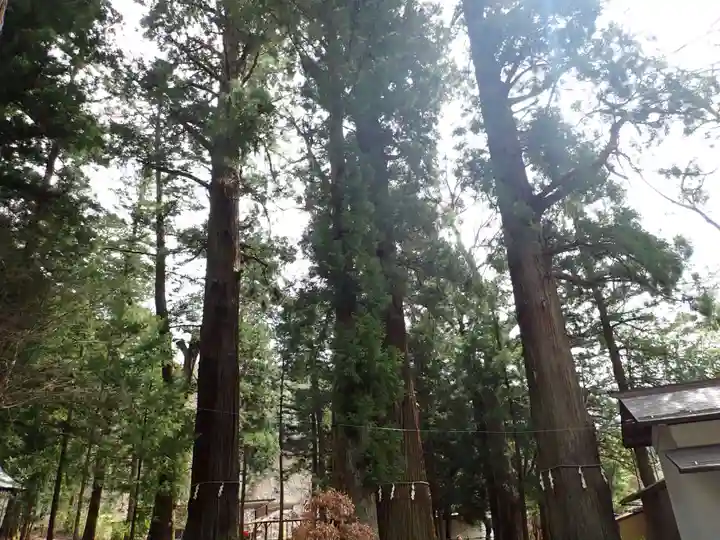 河口浅間神社(山梨県)