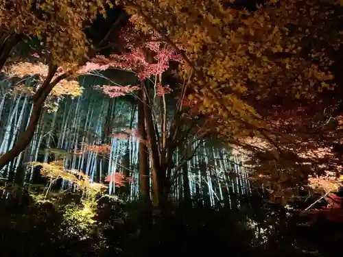 教林坊(滋賀県)