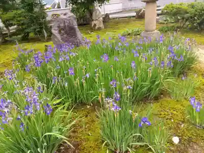 万法寺(福井県)