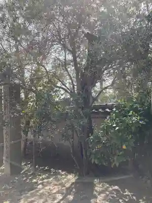 宝蔵寺のその他建物