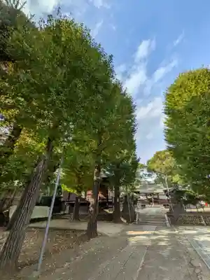 須賀神社(東京都)