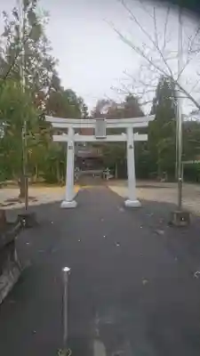 杵築神社の鳥居