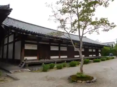 元興寺の本殿・本堂