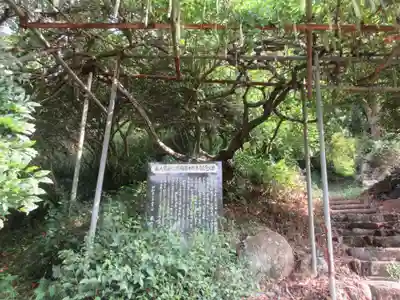 正福寺別当米山薬師堂(埼玉県)