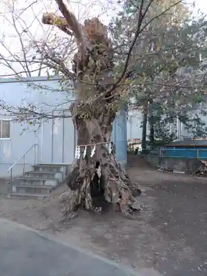 備後須賀稲荷神社(埼玉県)