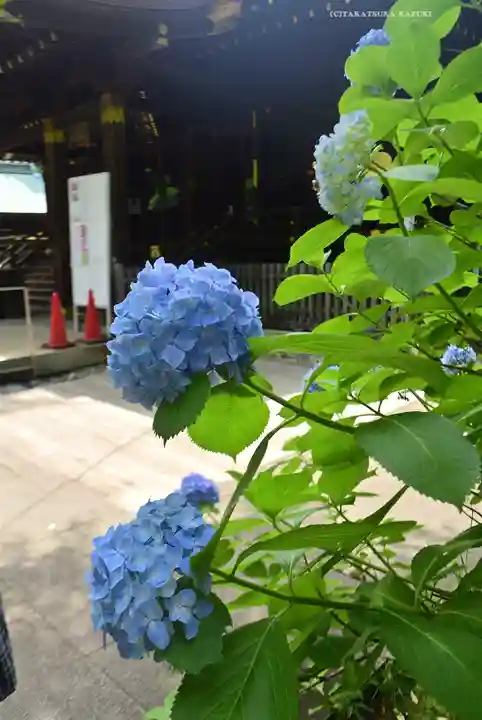 渋谷氷川神社(東京都)