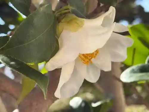 西方山極楽寺(岐阜県)