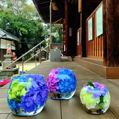 稲荷神社(愛知県)