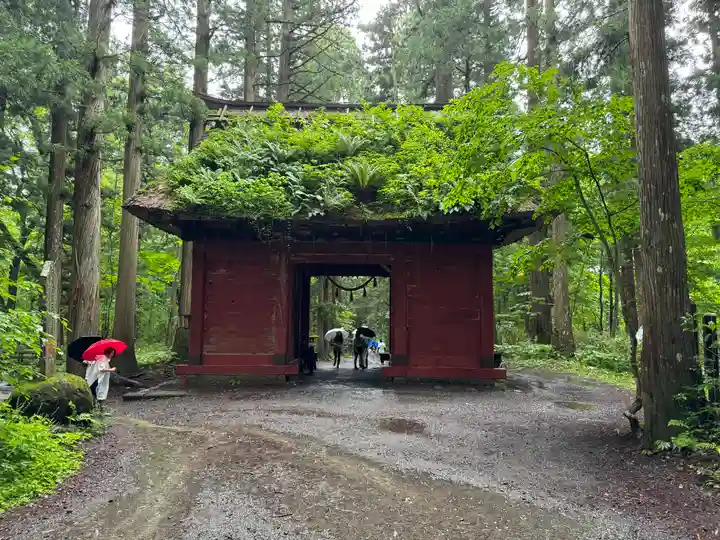戸隠神社九頭龍社(長野県)
