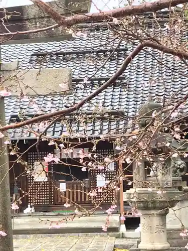 犀川神社の本殿