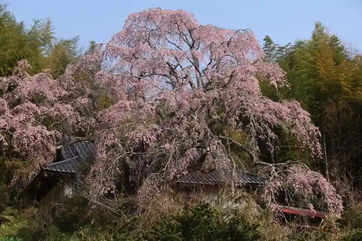 瑞雲寺(福島県)