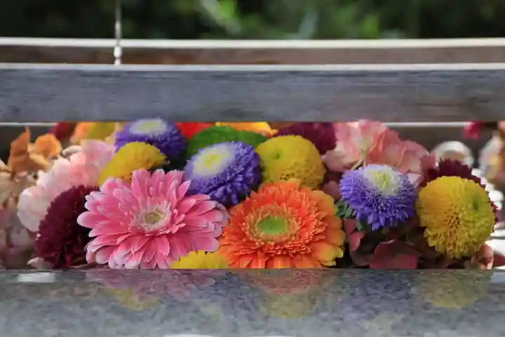 豊景神社の手水舎