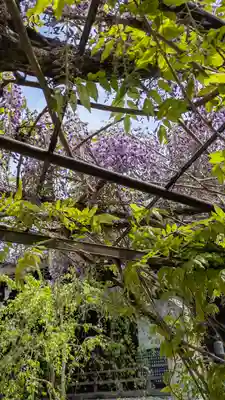 乘願院(京都府)