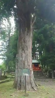 花石神社(栃木県)