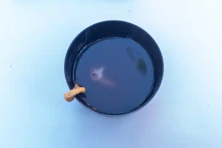 宮地嶽神社(福岡県)