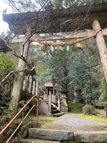 代々木神社の鳥居