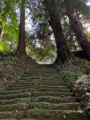 飯高神社の自然
