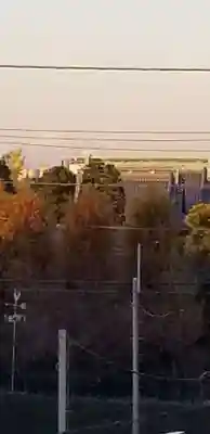 題経寺(柴又帝釈天)(東京都)