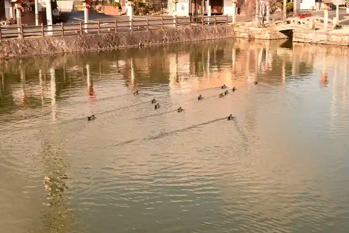 吉備津神社(広島県)