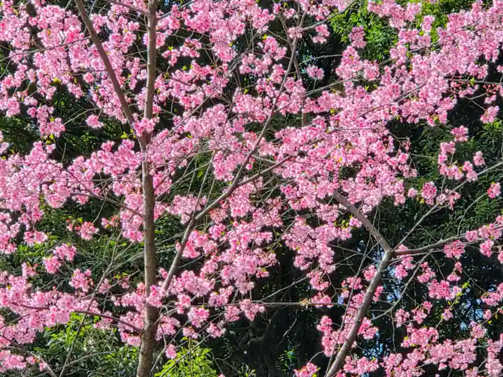 椙山神社(東京都)