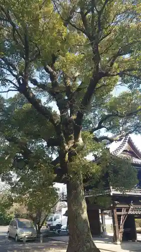 安祥山了雲院大乗寺(愛知県)