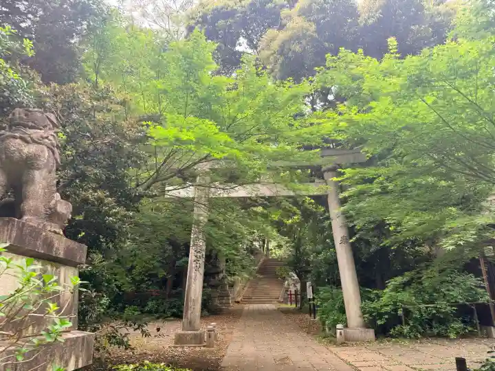 赤坂氷川神社の{uncategorized: "未分類", other: "その他", undefined: "問題あり", building: "その他建物", grave: "お墓", sacred_gate: "鳥居", guardian: "狛犬", statue: "像", buddha: "仏像", history: "歴史", nature: "自然", garden: "庭園", animal: "動物", pagoda: "塔", temizu: "手水舎", mountain_gate: "山門・神門", sanctuary: "本殿・本堂", subordinate: "末社・摂社", art: "芸術", scenery: "景色", jizo: "地蔵", ema: "絵馬", goshuin: "御朱印", omikuji: "おみくじ", items: "授与品その他", amulet: "お守り", goshuincho: "御朱印帳", eats: "食事", festival: "お祭り", votive_dance: "神楽", shichigosan: "七五三参", wedding: "結婚式", experience: "体験その他", initially: "初詣", around: "周辺", anti_infection: "感染症対策"}