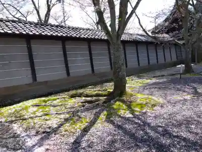 毫攝寺(福井県)