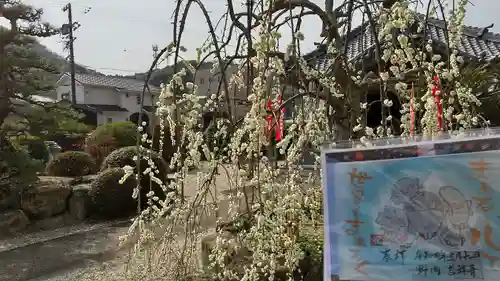 吉祥寺の庭園