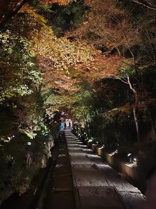 高台寺(高台寿聖禅寺・高臺寺)(京都府)